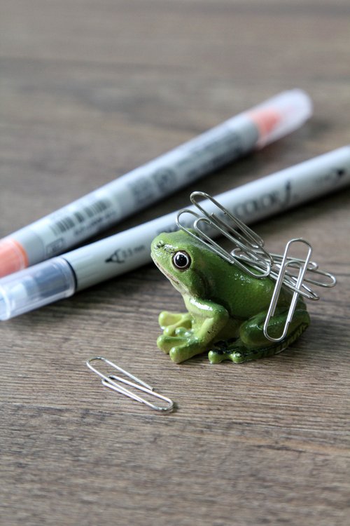 小物 Frog 500x0.jpg