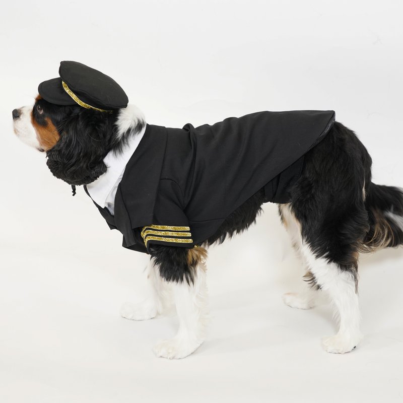 Male Dog Belly Wrap - Black Pet Clothing - Clothing & Accessories - Polyester 