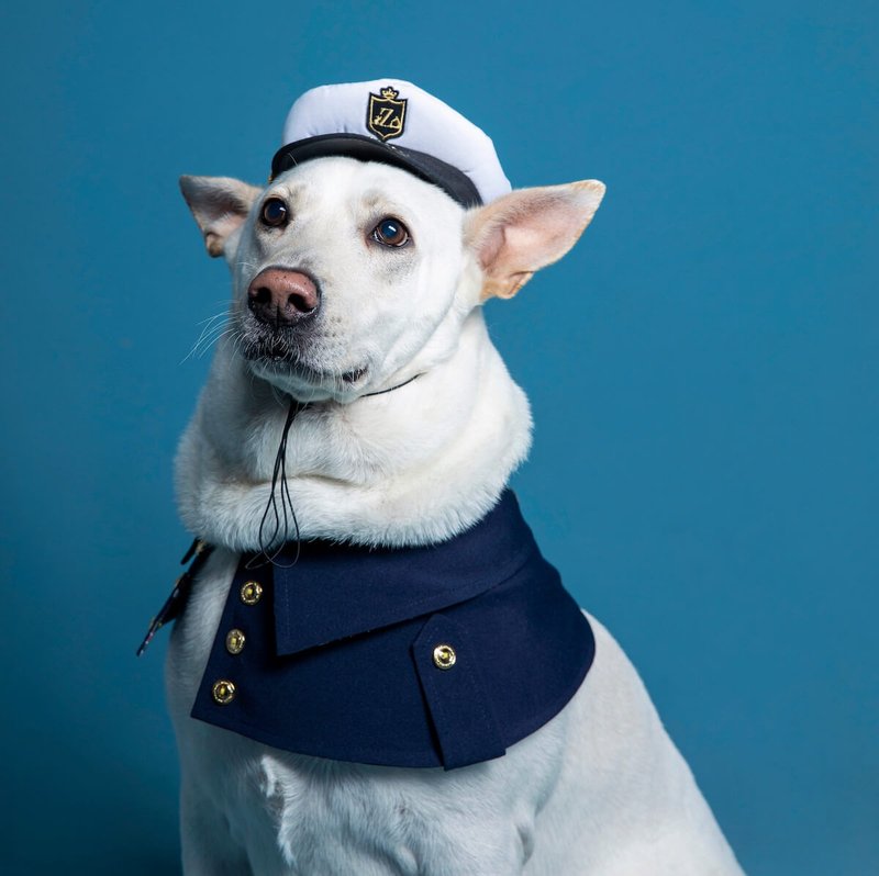 皇家艦長 | ZAZAZOO寵物服飾 - 寵物衫 - 棉．麻 藍色