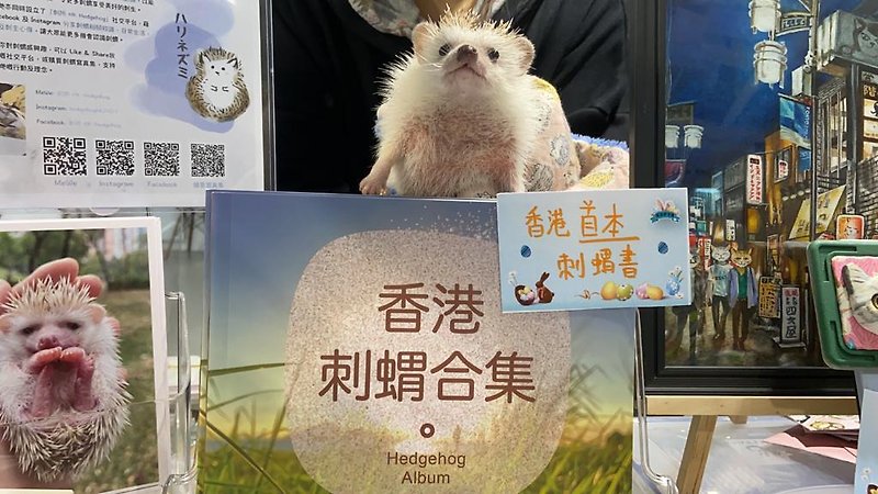 Hong Kong Hedgehog photobook - คอลเลกชันรูปถ่าย - กระดาษ 