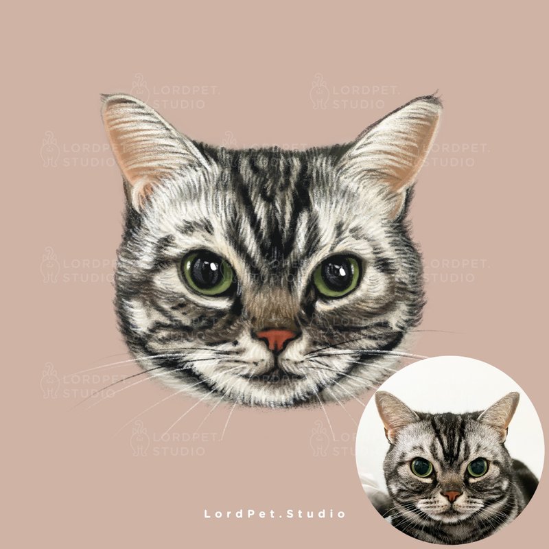 Upgrade to pet avatar (style 2-crayon style) - ภาพวาดพอร์ทเทรต/ภาพวาด/ภาพประกอบดิจิทัล - วัสดุอื่นๆ หลากหลายสี