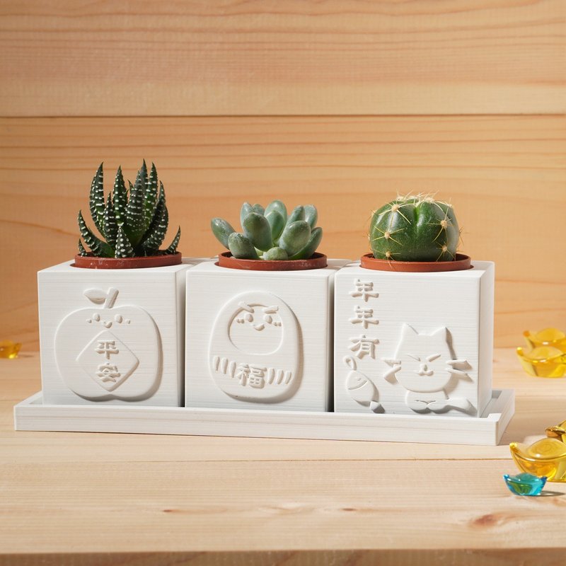 【客製化禮物】平安是福年年有餘 | 多肉植物水泥盆栽4件組 雷雕 - 植物/盆栽/盆景 - 水泥 白色