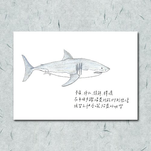 一把蔥 雜燴工作室 動物與牠的詩70/ 鯊魚/ 手繪 /卡片 明信片