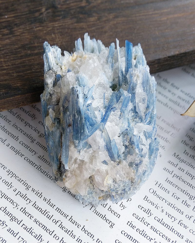 Kyanite 安徽產地 藍晶石 石英共生礦 天然礦石 原礦 - 擺飾/家飾品 - 其他材質 