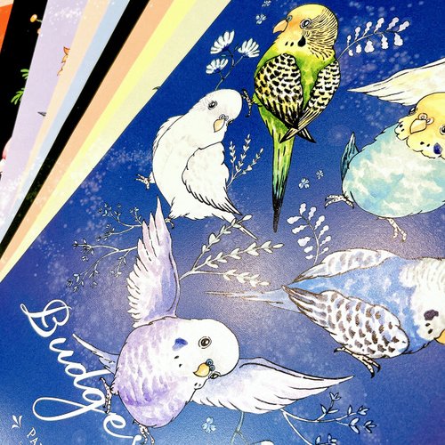 ポスター/セキセイインコイラストシリーズポスター - ショップ