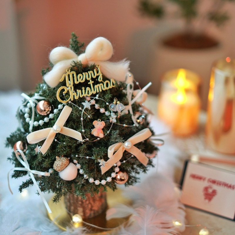 浪漫可愛珍珠 永生雪松聖誕樹 25CM永生聖誕樹 - 乾燥花/永生花 - 植物．花 綠色