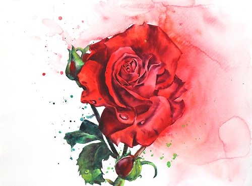 WallArtHome Red rose original watercolor painting by artist Irina Zhunaeva
