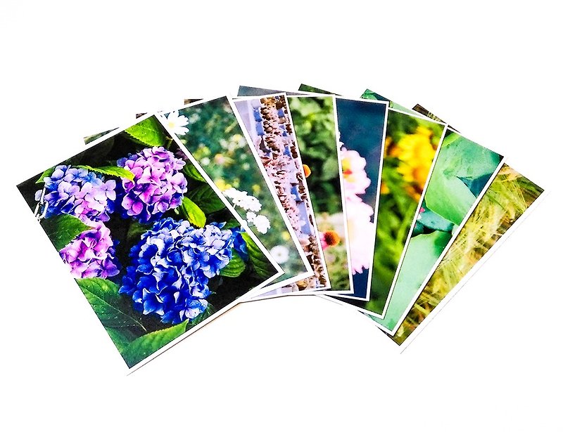 写真ポストカードセット：植物と花（8個） - カード・はがき - 紙 多色