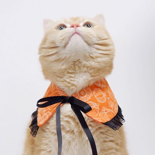 Purrcraft Pumpkin bib for cat or dog in Spooky Party Halloween theme.Free size