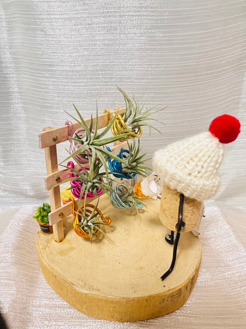 VitaDesign多肉植栽設計 創意空鳳架 空鳳花架花園 辦公室 桌上展示架