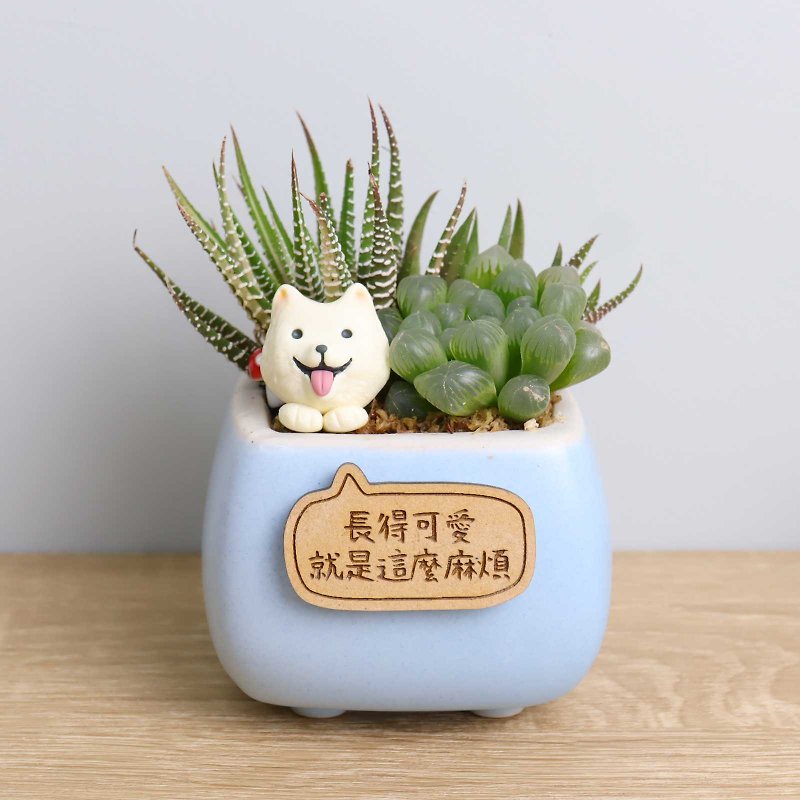 Dog Succulent Potted Plant Lettering Customized Blue Porcelain Graduation Day Opening Gift Wedding Mother’s Day - ตกแต่งต้นไม้ - เครื่องลายคราม สีน้ำเงิน