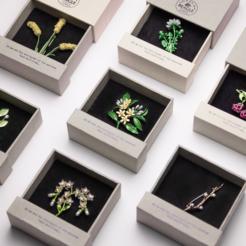 Darwin's Herbarium Series Brooch 2.0 (8 styles) - เข็มกลัด - โลหะ 