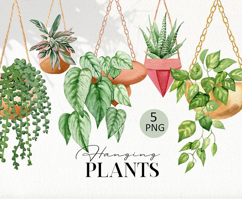 Hangings plants clipart Watercolor house plants clipart png Potted plant png - Digital Portraits, Paintings & Illustrations - Other Materials 