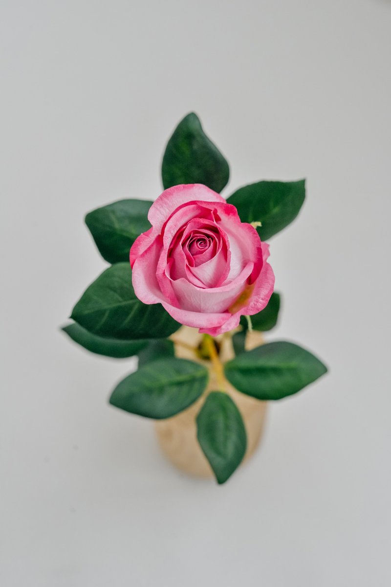 Artificial pink rose, Clay roses for home decor, Undying pink rose, Gift for Her - ช่อดอกไม้แห้ง - พลาสติก สึชมพู