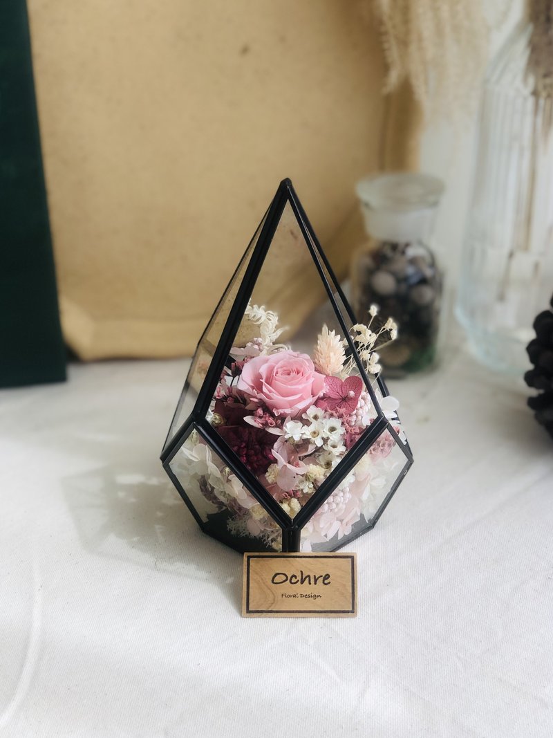 Ochre 錐形玻璃花房系列-黑邊中款 花禮 花盒 - 乾燥花/永生花 - 植物．花 粉紅色
