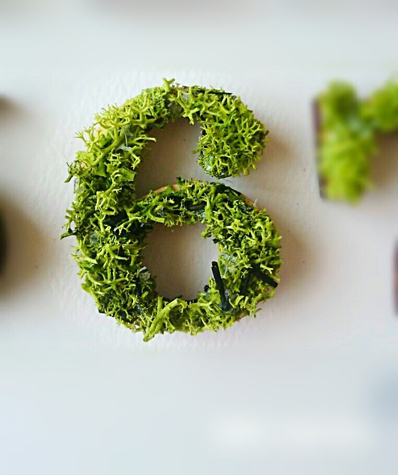 Wooden number object (moss) 5 cm /６x 1 piece - Items for Display - Wood Green