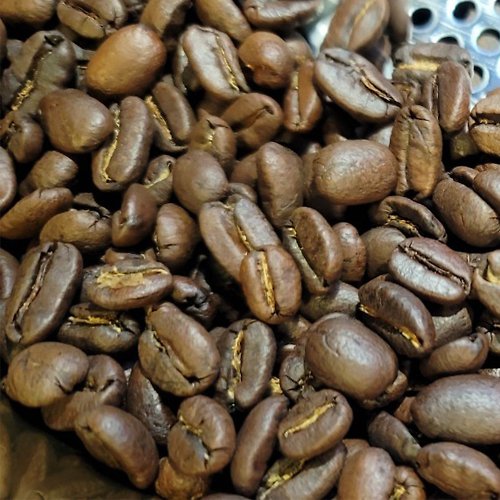 Funbodhi 方菩提 頂級印尼野生麝香貓單品咖啡豆 水洗 中烘焙 - 單品咖啡豆300g