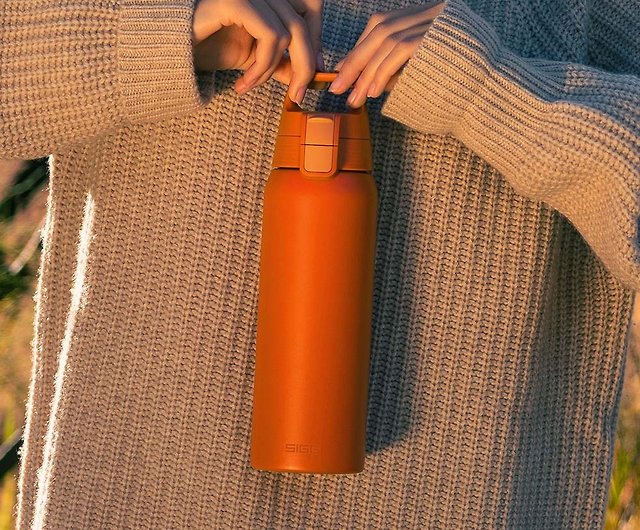 SIGG Bottle Swiss Water Thermo Flask Hot & Cold ONE Brush BPA Free