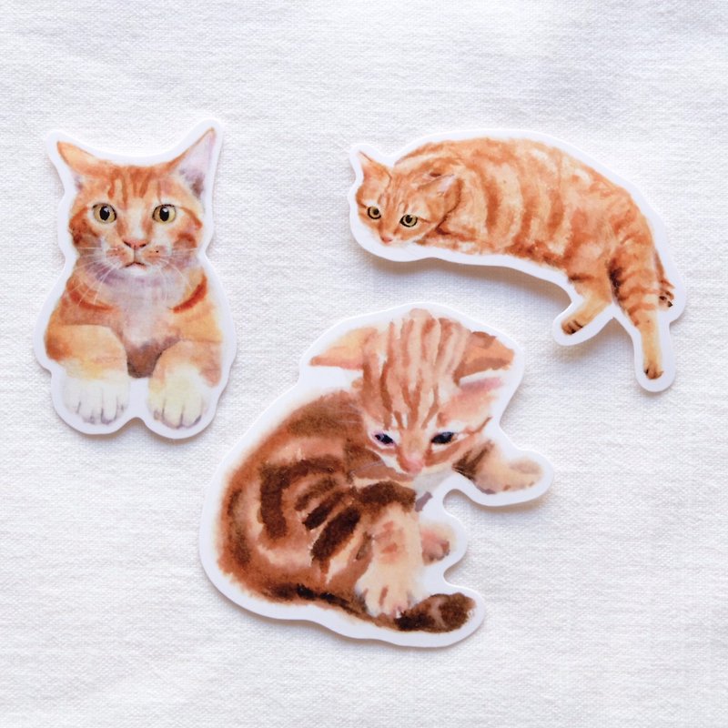 Orange cat waterproof sticker set