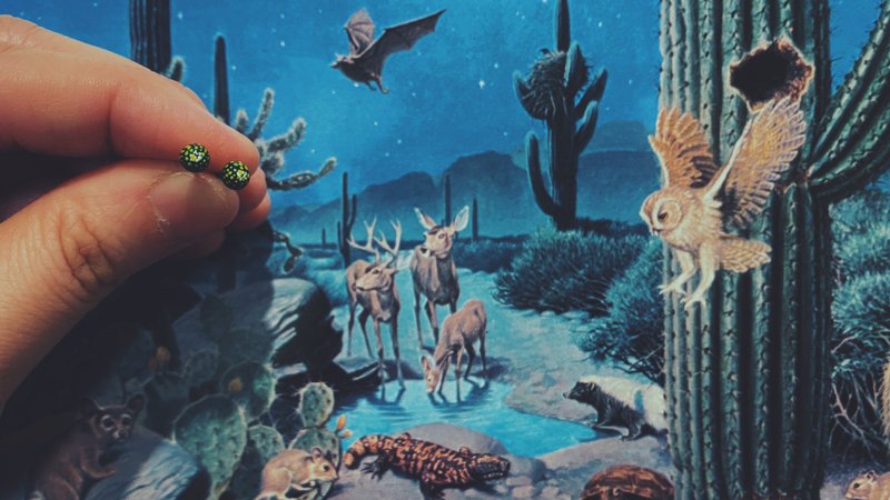 手繪耳環 - 仙人掌 / cactus / カクタス - 耳環/耳夾/耳骨夾 - 不鏽鋼 綠色