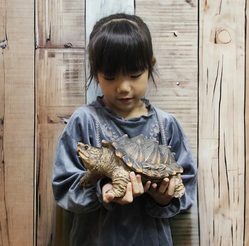 SÜSS Living生活良品 ZOOCRAFT擬真動物系列大鱷龜造型存錢筒