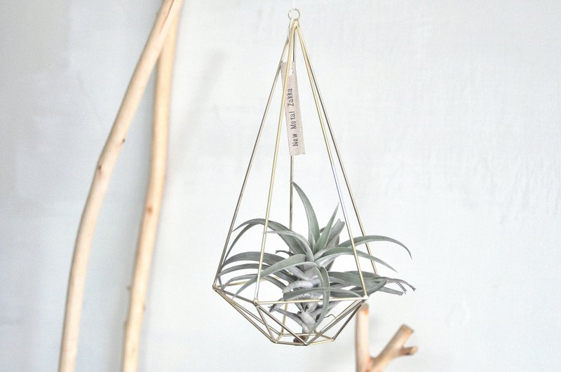 空氣鳳梨/漂浮掛飾/鑽石型/金色/大 - 盆栽/植栽 - 其他金屬 金色