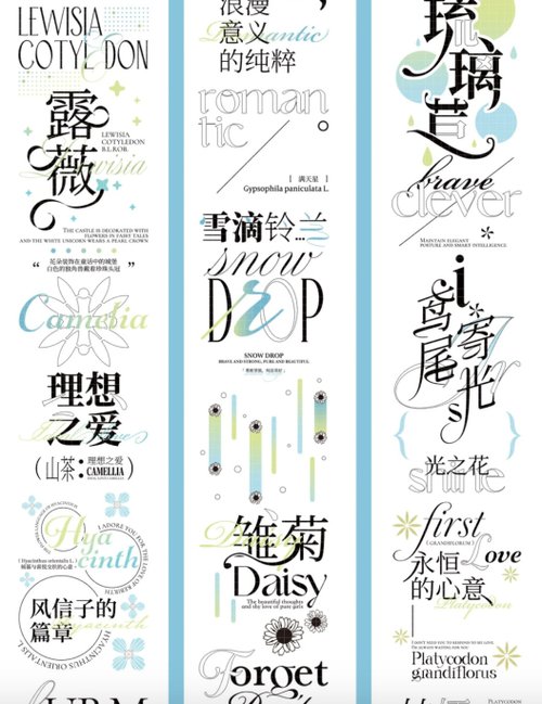 Wines 手帳工作室 花時素箋 PET 紙膠帶 貝殼光 10米卷