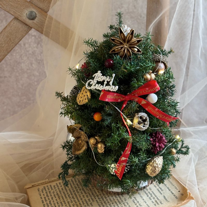 蓬蓬的聖誕小樹 永生聖誕樹 永生雪松 聖誕樹 - 乾燥花/永生花 - 植物．花 綠色