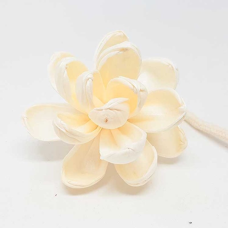 日本 Art Lab 經典瓶中花室內香氛 - 補充香氛花朵-中 - 香薰/精油/線香 - 植物．花 白色