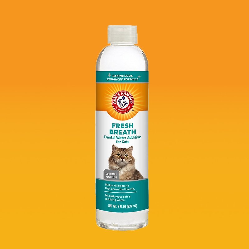 [Arm & Hammer] Pet Teeth Cleaner for Cats - Cleaning & Grooming - Other Materials Orange