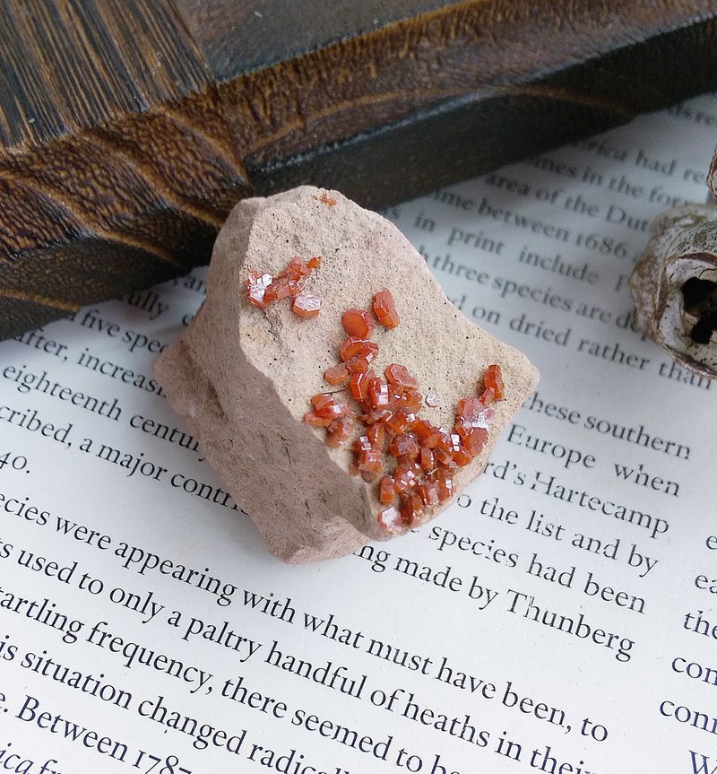 Vanadinite 摩洛哥產地 釩鉛礦 天然礦石 原礦 - 擺飾/家飾品 - 其他材質 