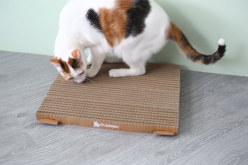 EZCAREPET 寵物輔具 寵物用品 貓抓板 雙面一片式 雙面可抓 貓用品 Boxkitty 瓦楞紙 貓玩具