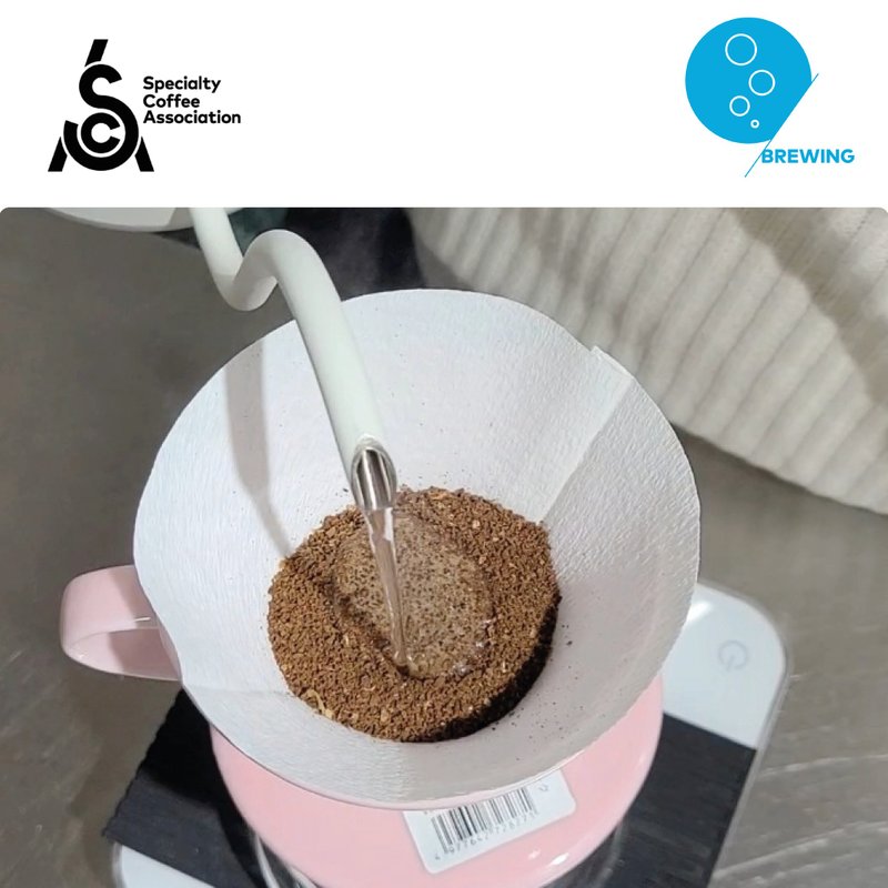 Specialty Coffee Association (SCA) Brewing Foundation - อาหาร/วัตถุดิบ - วัสดุอื่นๆ 