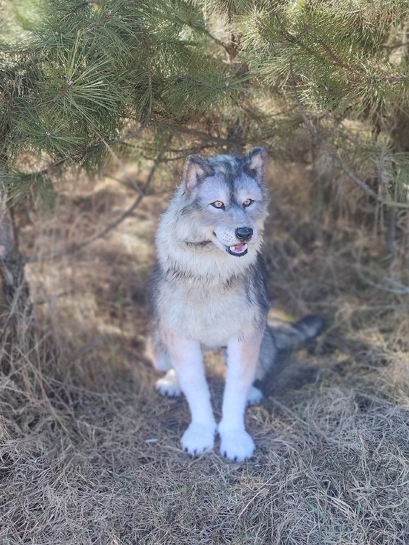 Gray Wolf Realistic Art Doll OOAK Artificial Stuffed Realistic Animal - Stuffed Dolls & Figurines - Other Materials Gray