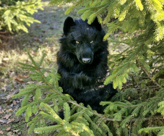 狼 狼犬 川上犬 ウルフドッグ 羊毛フェルト アートドール