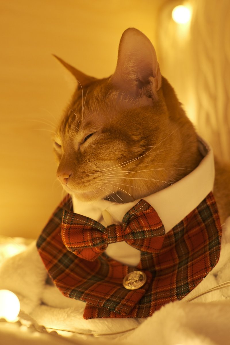 /聖誕限定/ 寵物訂製皇室西裝領/紅綠格子  Royal suit collar - 寵物衣服 - 棉．麻 紅色