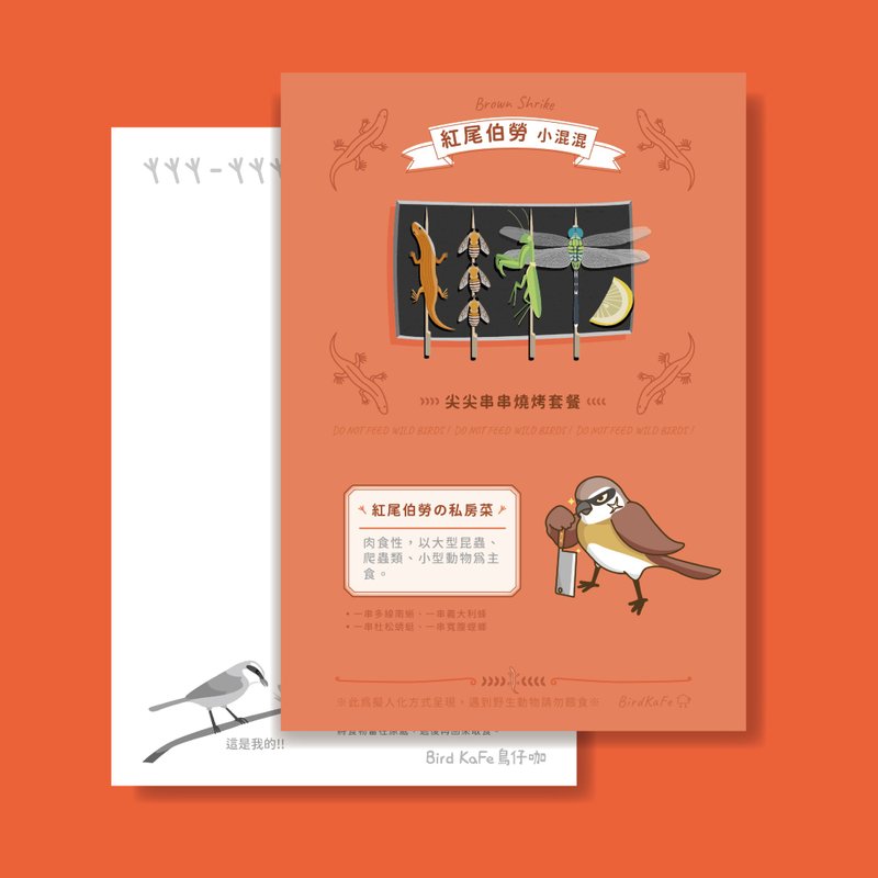 Bird Postcard - Brown Shrike - การ์ด/โปสการ์ด - กระดาษ สีแดง