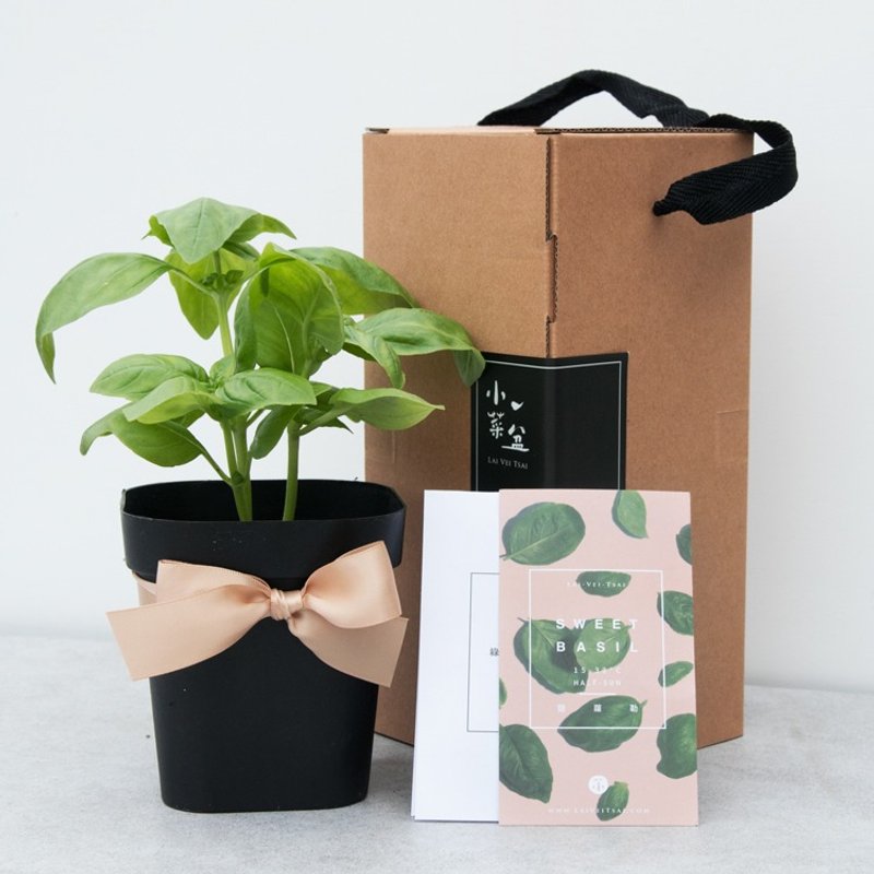 Sweet Basil_Vanilla Potted Gift - ตกแต่งต้นไม้ - พืช/ดอกไม้ 