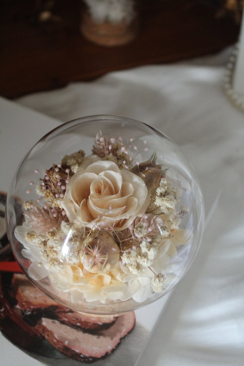 古典款 不凋花 設計 /玫瑰 玻璃罩 - 乾燥花/永生花 - 植物．花 