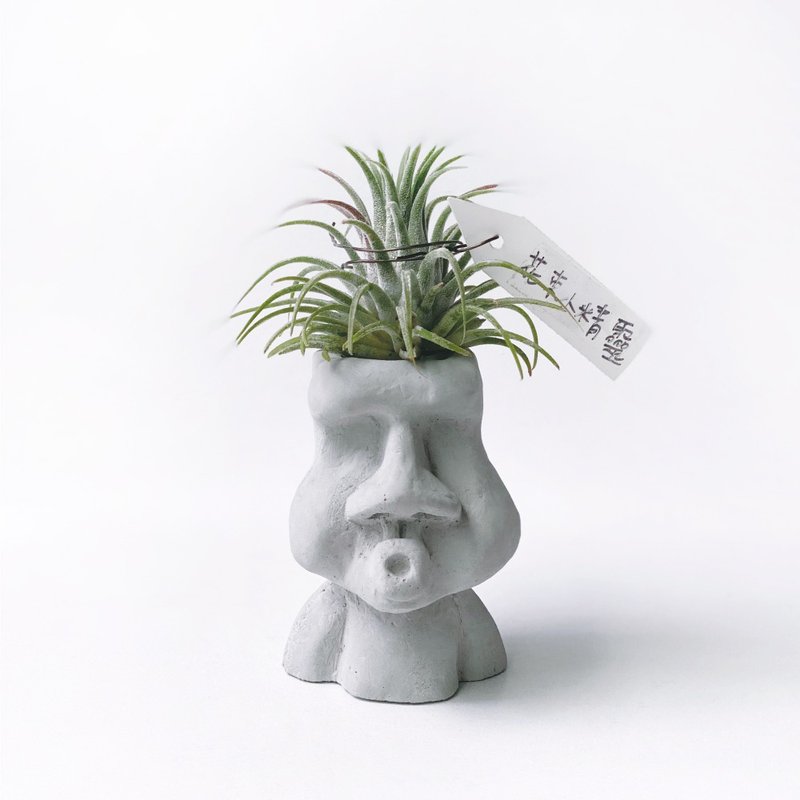 (預購) 花束小精靈 空氣鳳梨 可搭配O嘴摩艾水泥盆器 - 植栽/盆栽 - 植物．花 灰色
