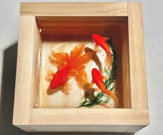 未使用】金魚 升 一合升で泳ぐ金魚アート オブジェ 置物 工芸品