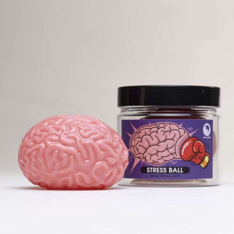 Specimen brain squeeze vent ball - บอร์ดเกม - วัสดุอื่นๆ หลากหลายสี