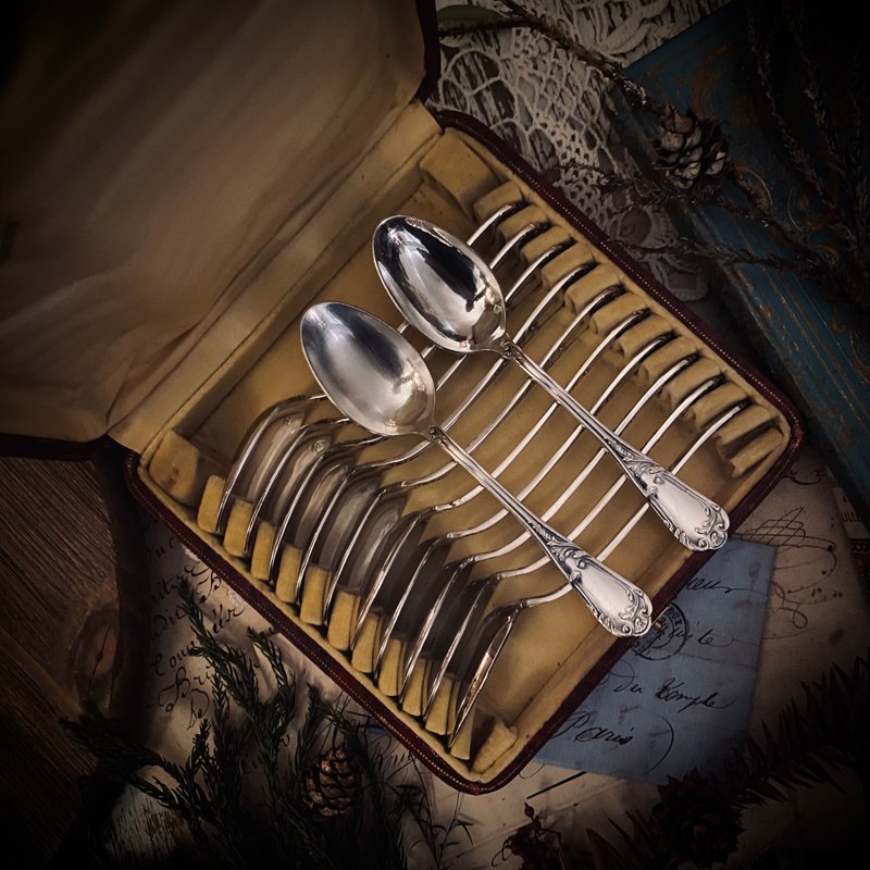 French Art Nouveau period Silver dessert spoons complete box set of 12 - Cutlery & Flatware - Silver Silver