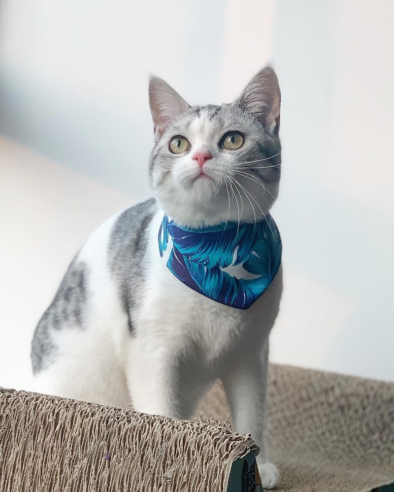 Blue European and American style pet collar cat and dog scarf - Collars & Leashes - Other Materials 