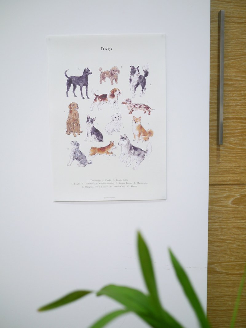 dog animal poster - โปสเตอร์ - กระดาษ 