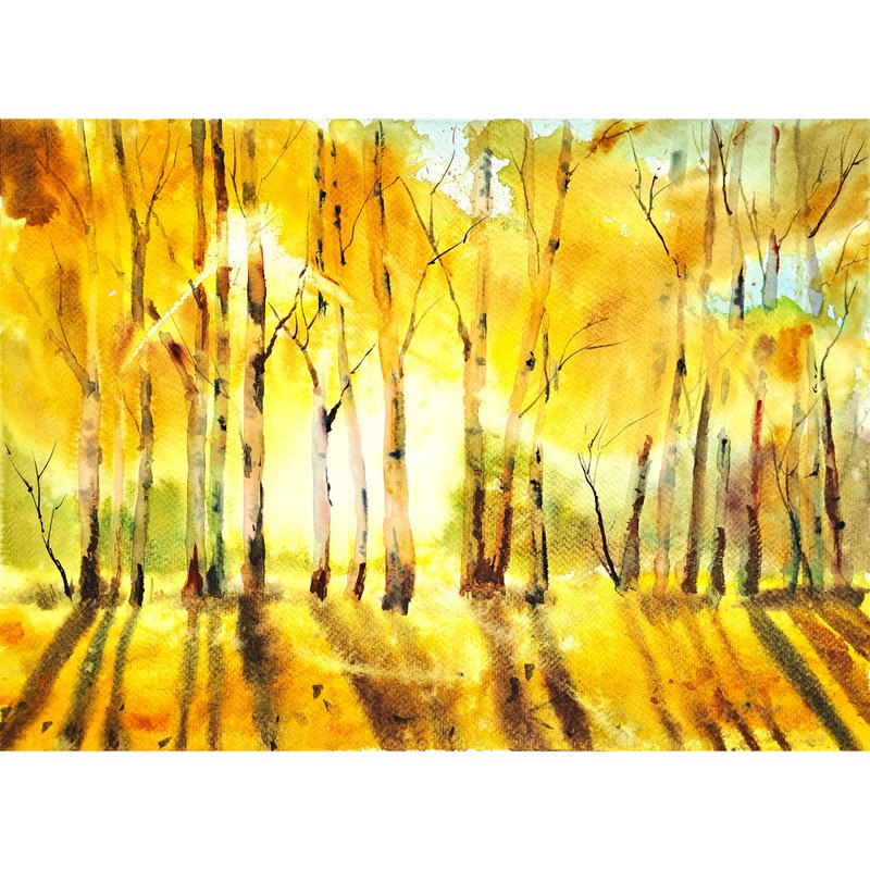 Birch Tree Painting Fall Trees Watercolor Original Art Aspen Landscape Artwork - Posters - Paper Multicolor