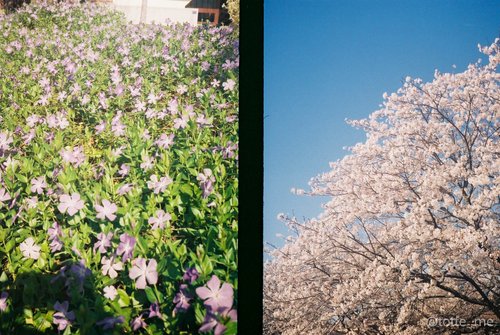 OLYMPUS PEN EE-2 Sweet Black スイートブラック 当店限定】レトロフィルムカメラ オリンパス PEN EE-2 Sweet