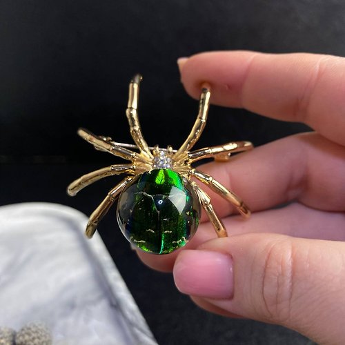 AlexArtRoom Spider brooch, spider jewelry, real beetle jewelry, real beetle in resin, real b