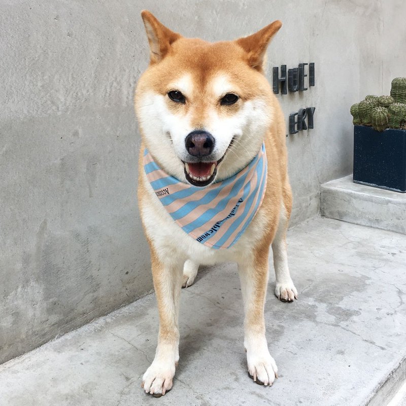 犬専用名スカーフ-カスタマイズ（中型犬）-ベイビーブルー - 首輪・リード - コットン・麻 ピンク