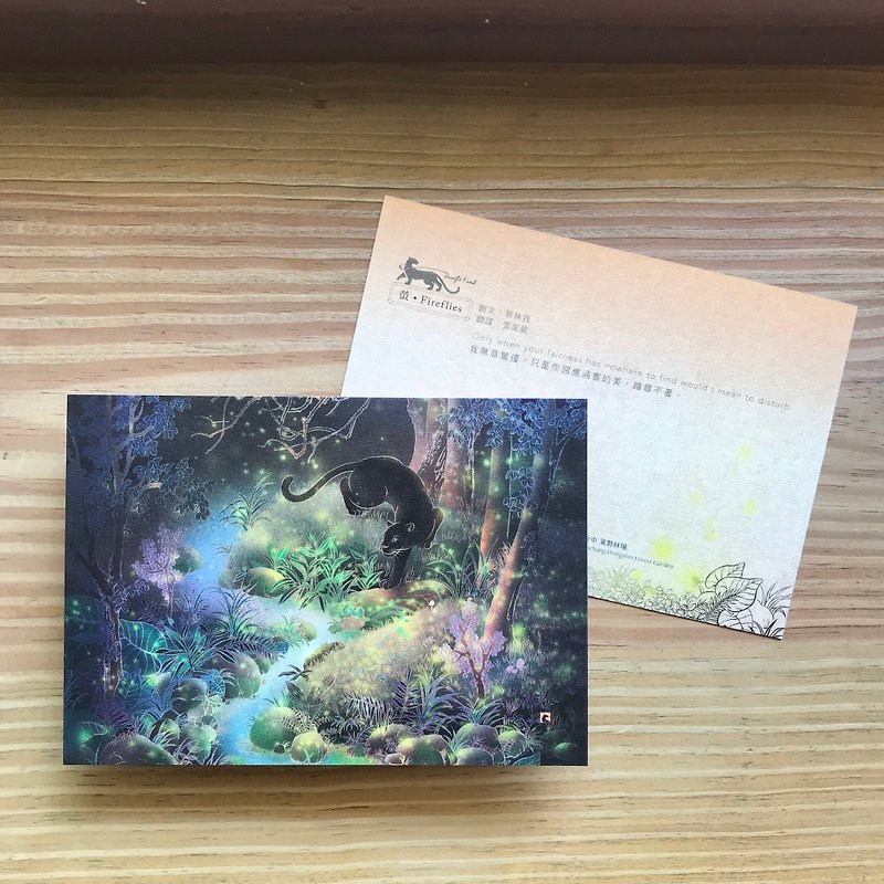 [Firefly (Taiwanese Middle East)] / Jungle Quest Image Series/Exquisite Illustrations - Cards & Postcards - Paper Black